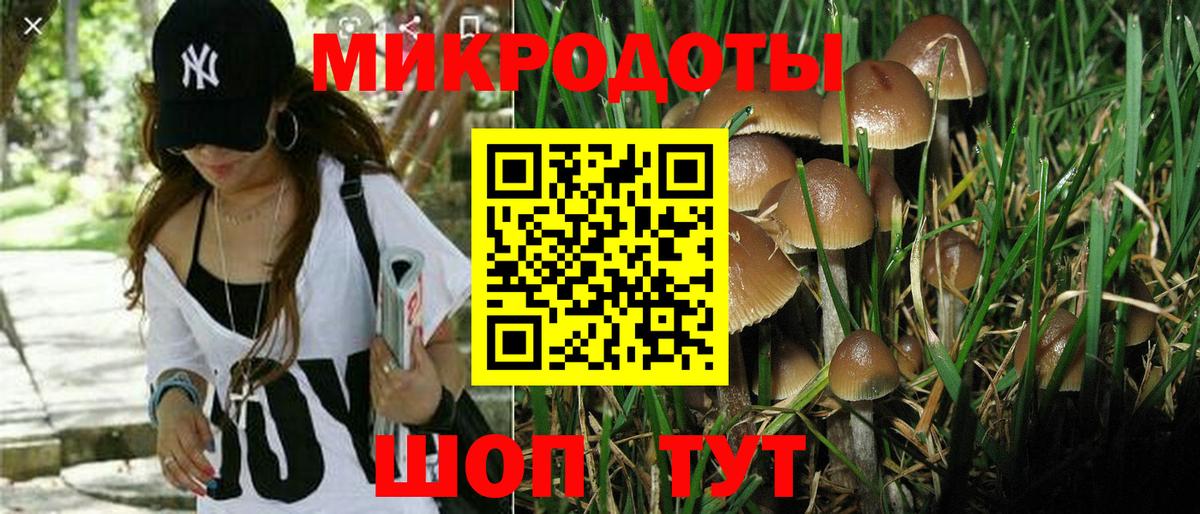 Галлюциногенные грибы Psilocybine cubensis  Вход с VPN  Лянтор 