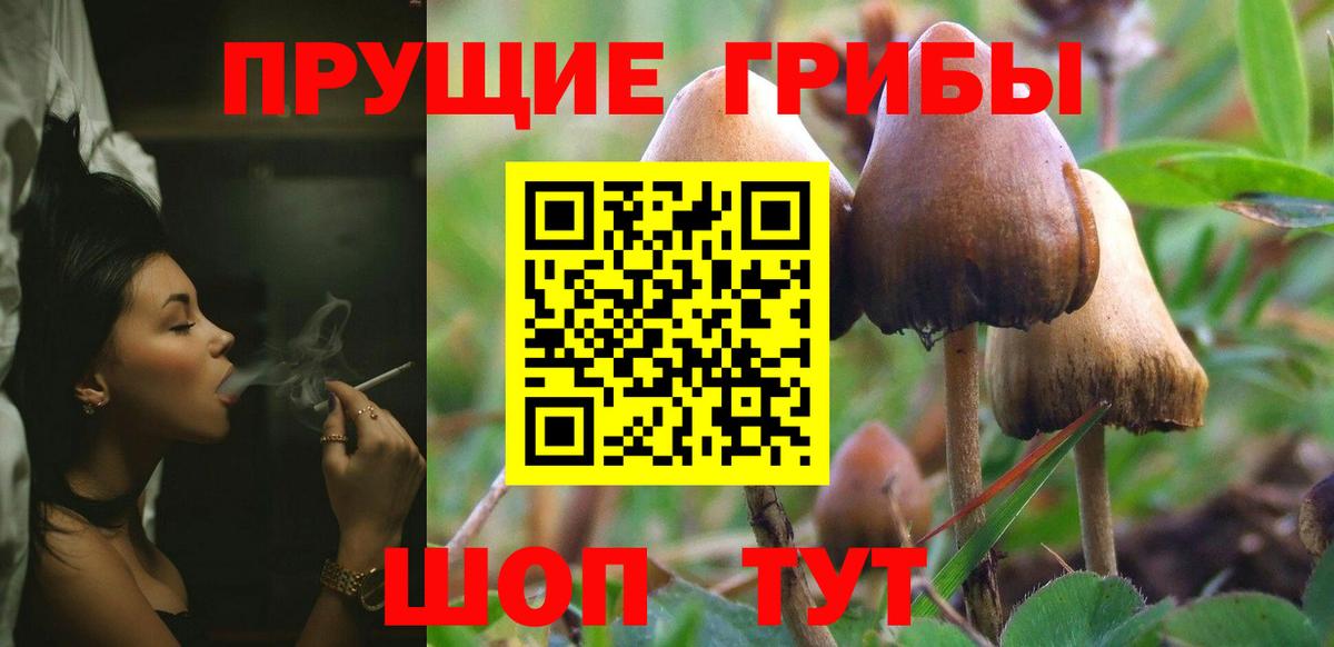 Псилоцибиновые грибы GOLDEN TEACHER Лянтор